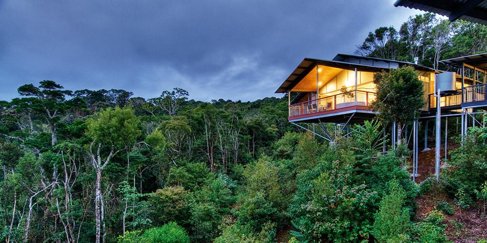 O'Reilly'S Rainforest Retreat Canungra Exterior foto